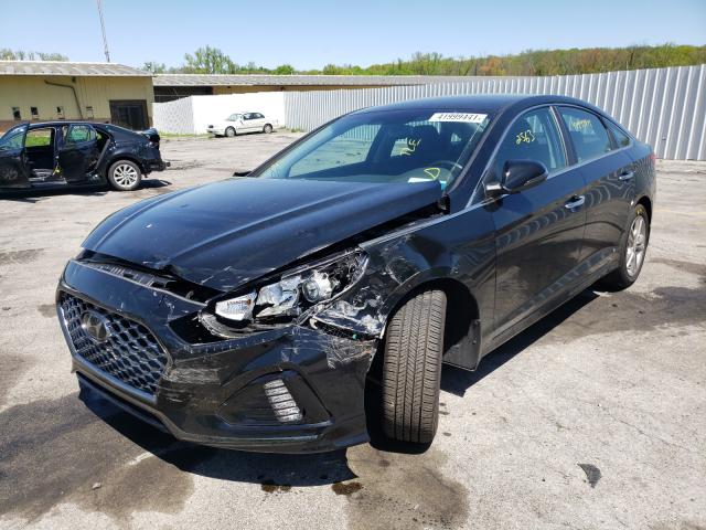 2019 HYUNDAI SONATA LIM 5NPE34AF0KH815697