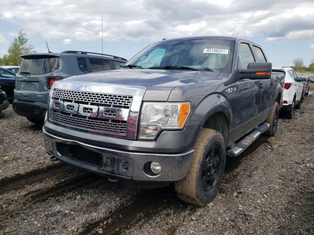 2010 FORD F150 SUPER 1FTEW1E87AFA63250