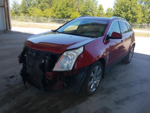 2011 CADILLAC SRX PERFOR 3GYFNBEY0BS513339