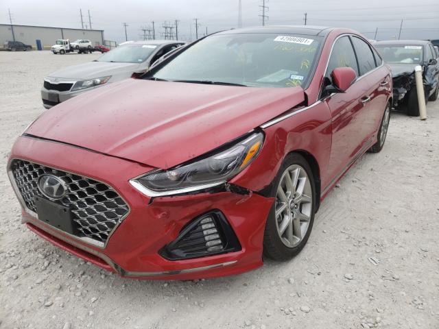 2019 HYUNDAI SONATA LIM 5NPE34AB7KH786566