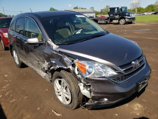 2010 HONDA CR-V 5J6RE4H72AL044349