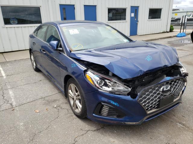 2019 HYUNDAI SONATA LIM 5NPE34AF6KH818863