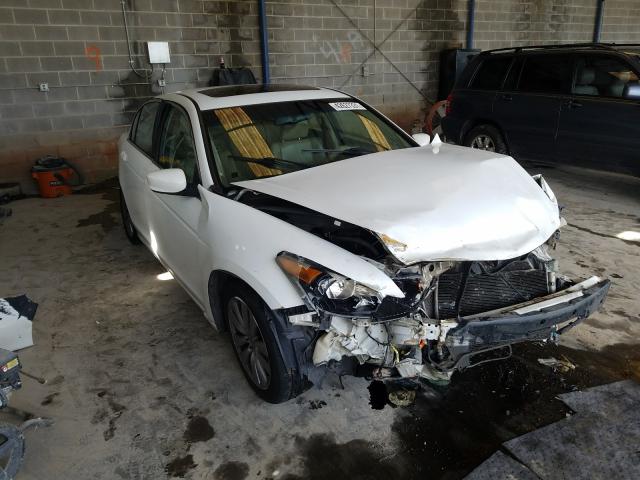 2011 HONDA ACCORD EXL 1HGCP2F8XBA101644