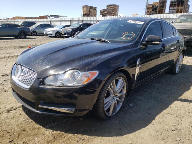 2010 JAGUAR XF SUPERCH SAJWA0HE2AMR61377