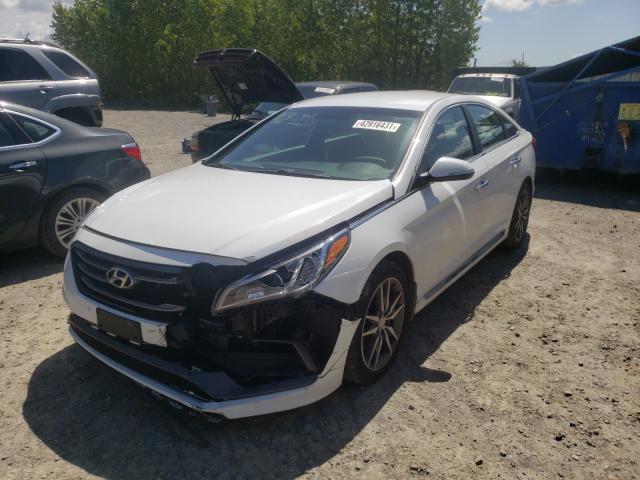 2015 HYUNDAI SONATA SPO 5NPE34AB3FH162348