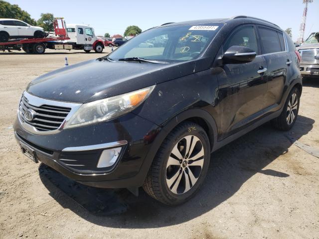 2011 KIA SPORTAGE E KNDPC3A24B7071736