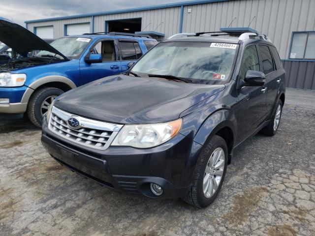 2013 SUBARU FORESTER T JF2SHAGC3DH411344