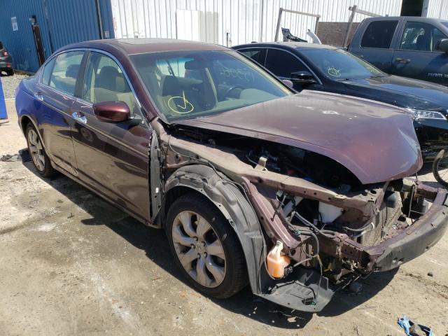 2010 HONDA ACCORD EXL 5KBCP3F88AB013221