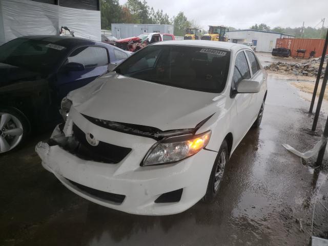 2010 TOYOTA COROLLA BA 2T1BU4EE6AC519666