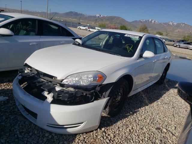 2011 CHEVROLET IMPALA POL 2G1WD5EMXB1225372