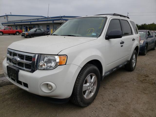 2010 FORD ESCAPE 1FMCU0DG2AKC50690