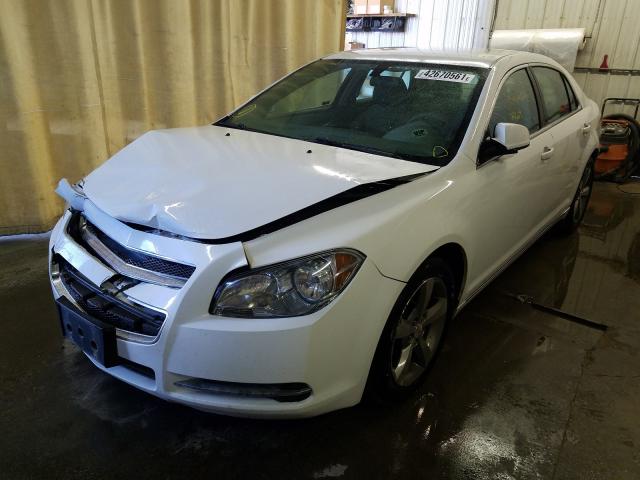 2011 CHEVROLET MALIBU 1LT 1G1ZC5EU2BF100620