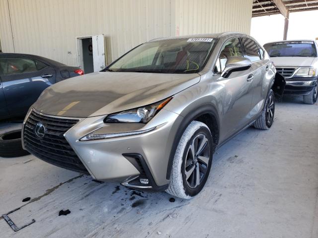 2020 LEXUS NX 300 JTJGARBZ7L5012355