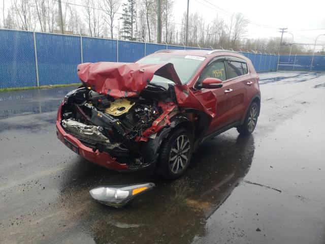 2019 KIA SPORTAGE E KNDPNCAC9K7516068