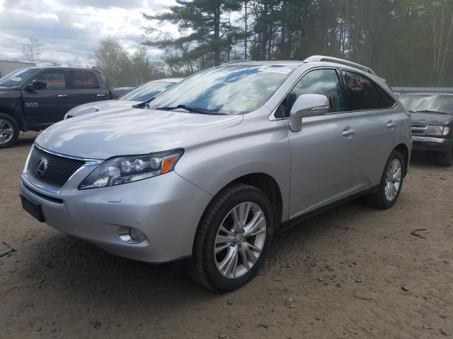 2010 LEXUS RX 450 JTJBC1BA0A2024040