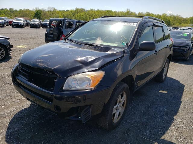 2010 TOYOTA RAV4 2T3BF4DV8AW081461