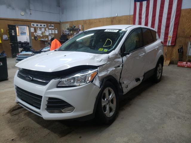 2015 FORD ESCAPE SE 1FMCU9GX0FUC31308