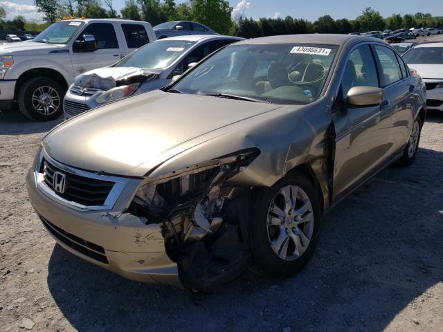 2010 HONDA ACCORD LXP 1HGCP2F46AA142154