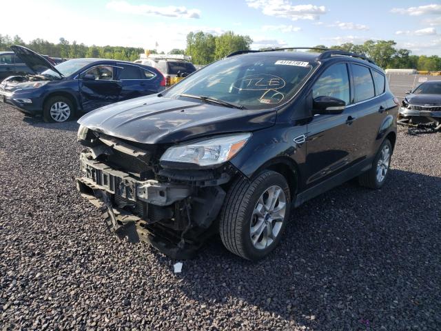 2013 FORD ESCAPE SEL 1FMCU9H99DUB43144