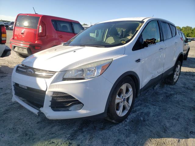 2013 FORD ESCAPE SE 1FMCU0GX5DUA40895
