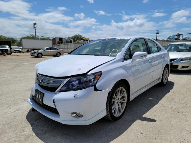 2010 LEXUS HS 250H JTHBB1BAXA2006536