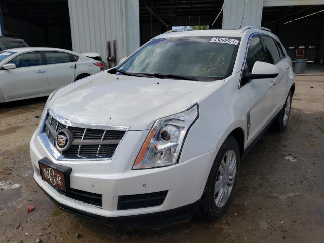 2011 CADILLAC SRX LUXURY 3GYFNAEYXBS601714