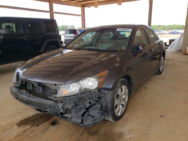2010 HONDA ACCORD EXL 1HGCP2F80AA082407