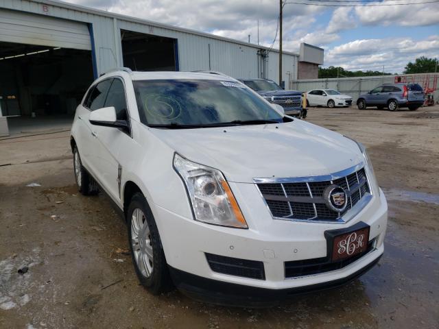 2011 CADILLAC SRX LUXURY 3GYFNAEYXBS601714