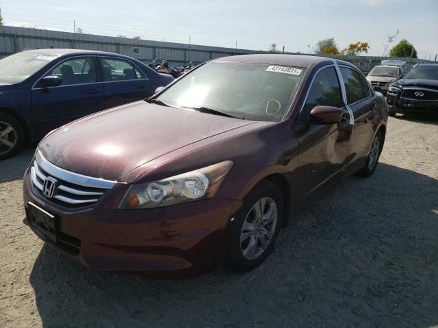 2011 HONDA ACCORD LXP 1HGCP2F45BA114847