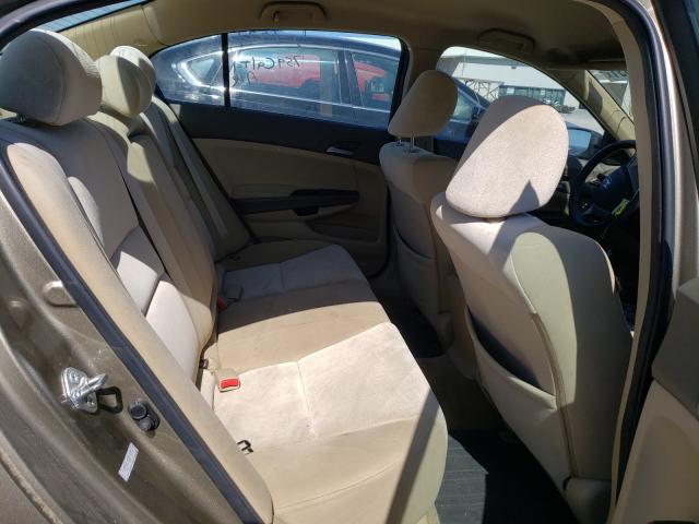 2010 HONDA ACCORD LXP 1HGCP2F46AA142154