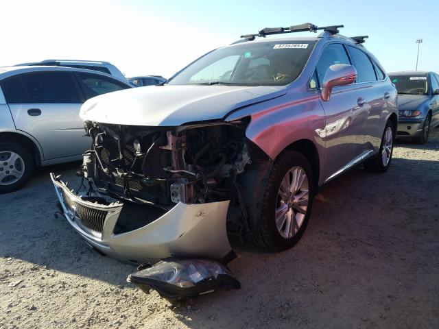 2010 LEXUS RX 450 JTJBC1BA3A2014747