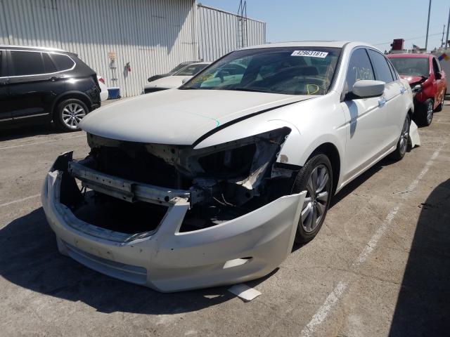 2011 HONDA ACCORD EXL 5KBCP3F84BB001553
