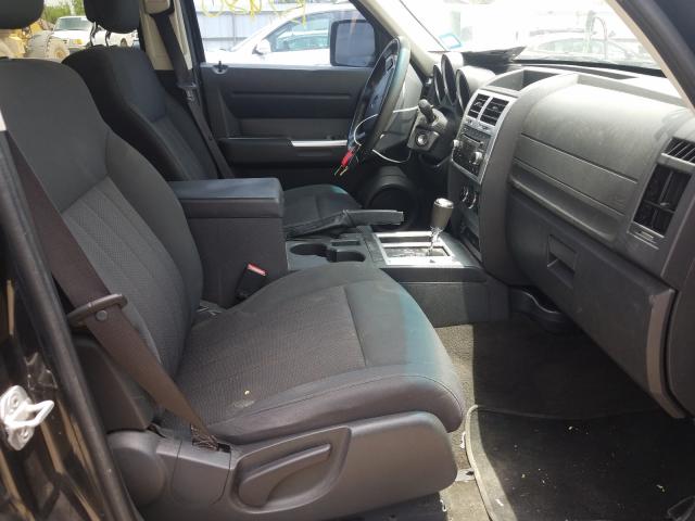 2011 DODGE NITRO 1D4PT5GK8BW509962
