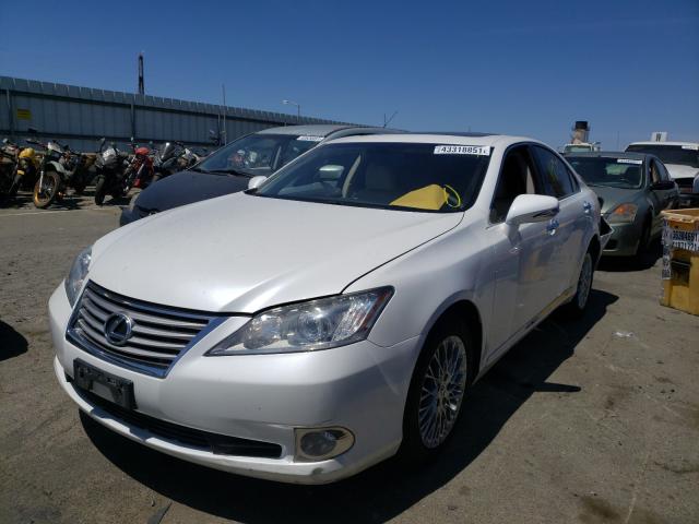 2011 LEXUS ES JTHBK1EG1B2451698