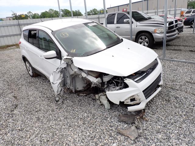 2013 FORD ESCAPE SE 1FMCU0GX5DUA40895