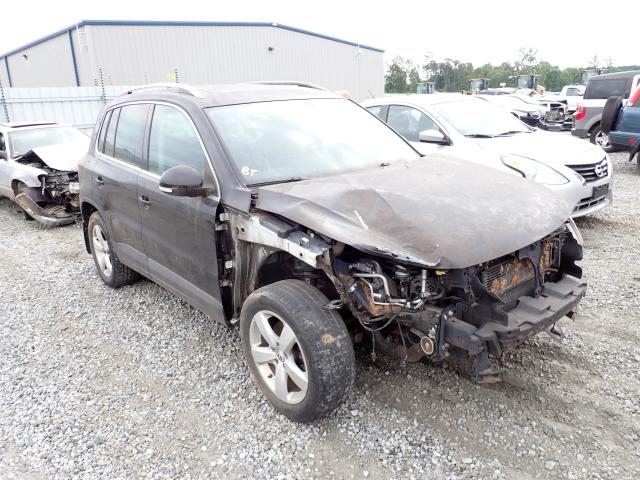 2010 VOLKSWAGEN TIGUAN S WVGAV7AX2AW003020