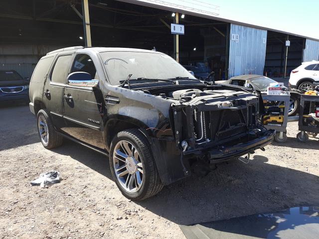 2012 CADILLAC ESCALADE P 1GYS4CEF0CR220681