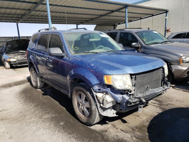 2010 FORD ESCAPE XLT 1FMCU0D71AKD02035