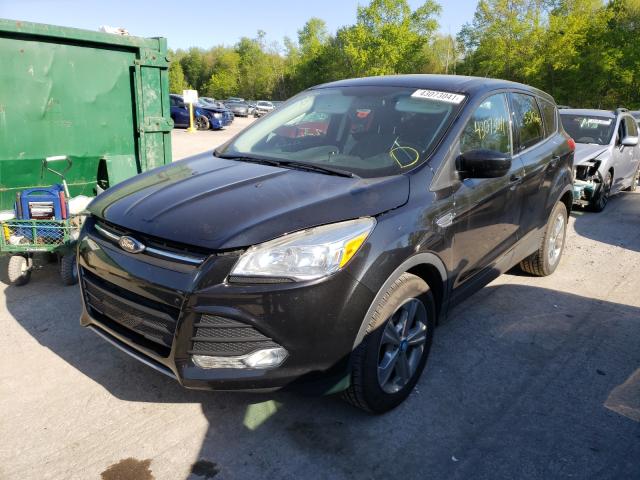 2015 FORD ESCAPE 1FMCU0G75FUC58242