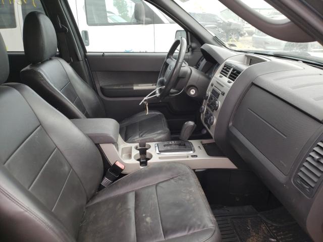 2011 FORD ESCAPE XLT 1FMCU9DG2BKA42377