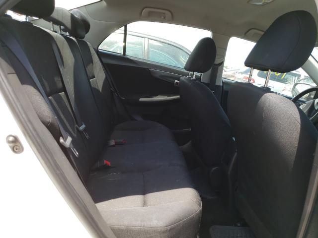 2010 TOYOTA COROLLA BA 1NXBU4EEXAZ257942