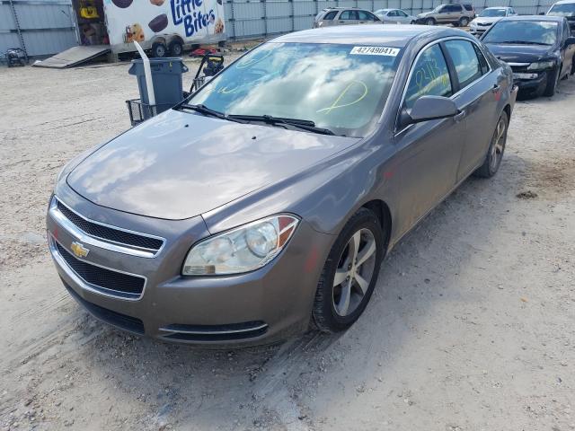 2011 CHEVROLET MALIBU 1LT 1G1ZC5E17BF316792