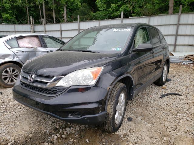 2011 HONDA CR-V SE 5J6RE4H43BL078422
