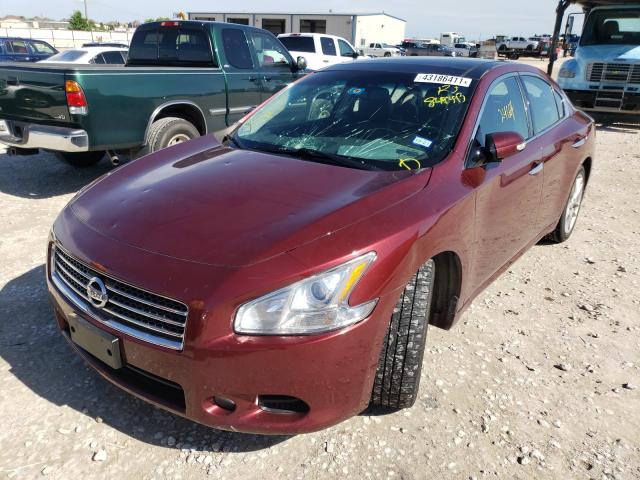 2010 NISSAN MAXIMA S 1N4AA5AP3AC849393