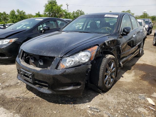 2010 HONDA ACCORD EXL 5KBCP3F86AB007000