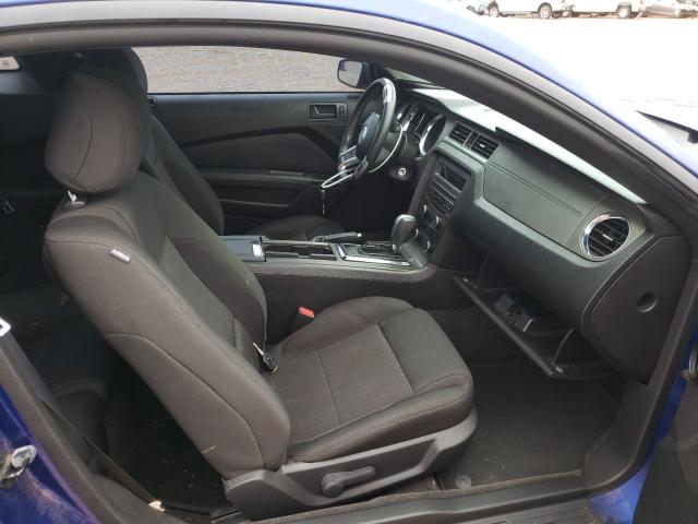 2013 FORD MUSTANG 1ZVBP8AM0D5218773