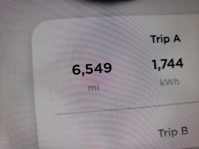 2021 TESLA MODEL Y 5YJYGDEE4MF099956