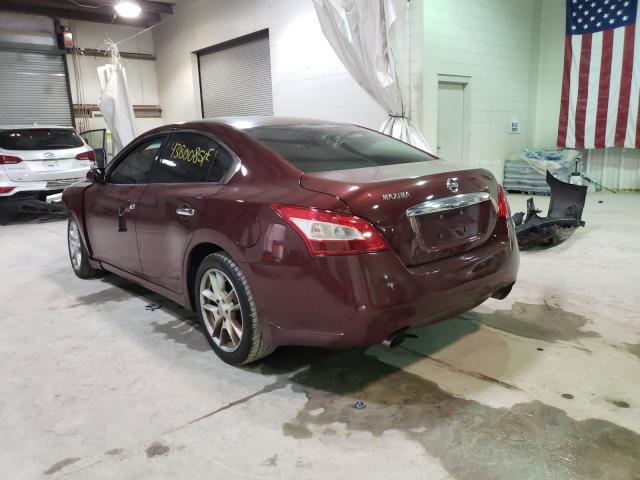 2010 NISSAN MAXIMA S/S 1N4AA5AP8AC813683
