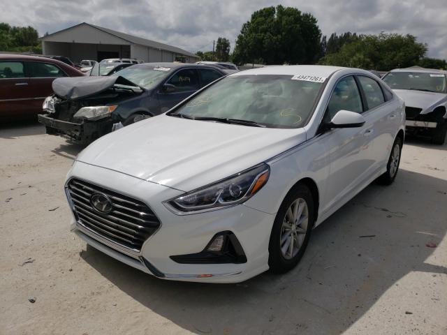 2019 HYUNDAI SONATA SE 5NPE24AF9KH744020