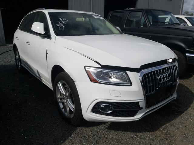 VIN WA1D7AFP3HA065304 2017 Audi Q5, Premium Plus S-... no.1